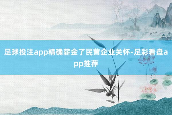 足球投注app精确薪金了民营企业关怀-足彩看盘app推荐