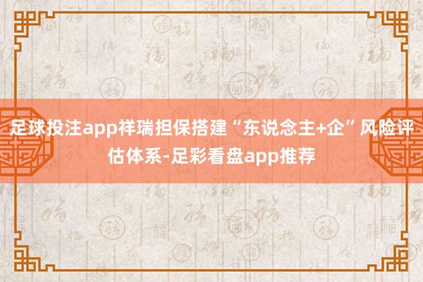 足球投注app祥瑞担保搭建“东说念主+企”风险评估体系-足彩看盘app推荐