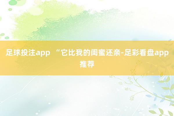 足球投注app  “它比我的闺蜜还亲-足彩看盘app推荐
