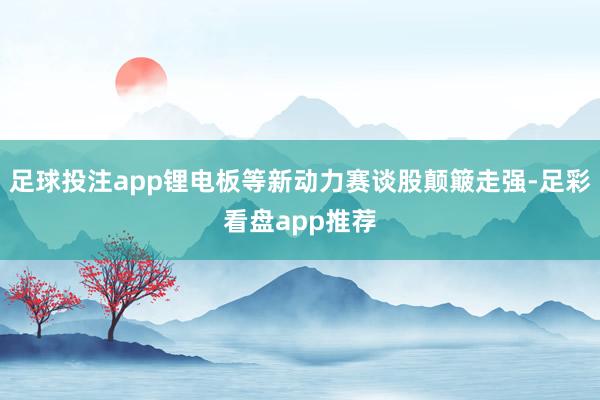 足球投注app锂电板等新动力赛谈股颠簸走强-足彩看盘app推荐