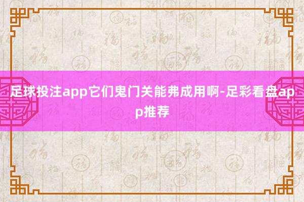 足球投注app它们鬼门关能弗成用啊-足彩看盘app推荐