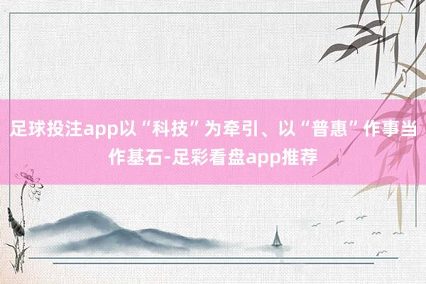 足球投注app以“科技”为牵引、以“普惠”作事当作基石-足彩看盘app推荐