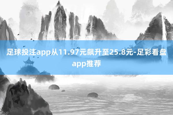 足球投注app从11.97元飙升至25.8元-足彩看盘app推荐