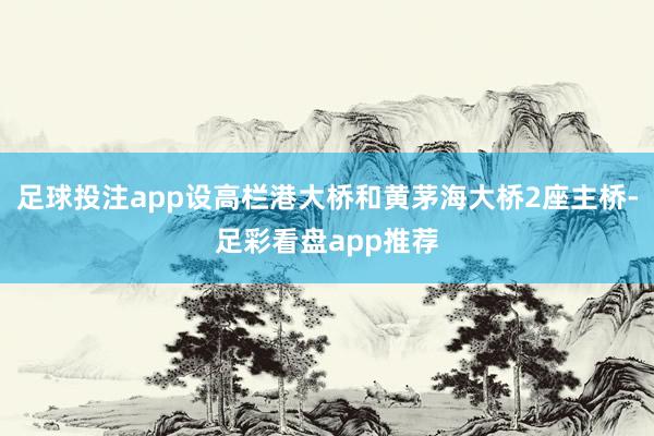 足球投注app设高栏港大桥和黄茅海大桥2座主桥-足彩看盘app推荐