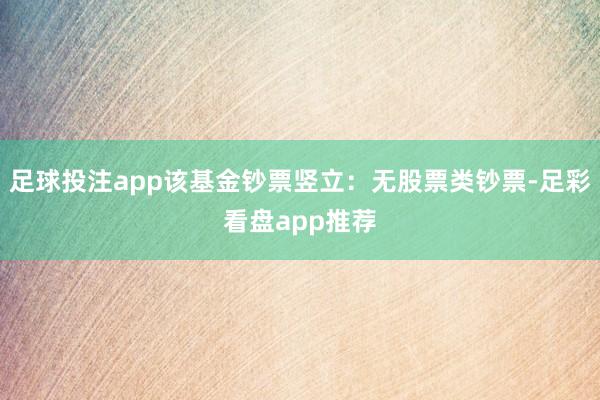 足球投注app该基金钞票竖立：无股票类钞票-足彩看盘app推荐