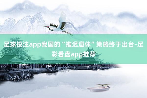 足球投注app我国的“推迟退休”策略终于出台-足彩看盘app推荐