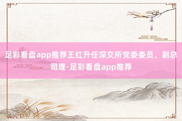 足彩看盘app推荐王红升任深交所党委委员、副总司理-足彩看盘app推荐