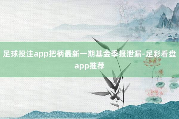 足球投注app把柄最新一期基金季报泄漏-足彩看盘app推荐