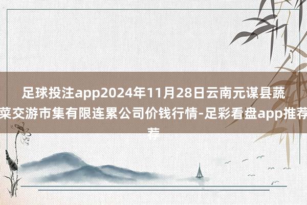 足球投注app2024年11月28日云南元谋县蔬菜交游市集有限连累公司价钱行情-足彩看盘app推荐