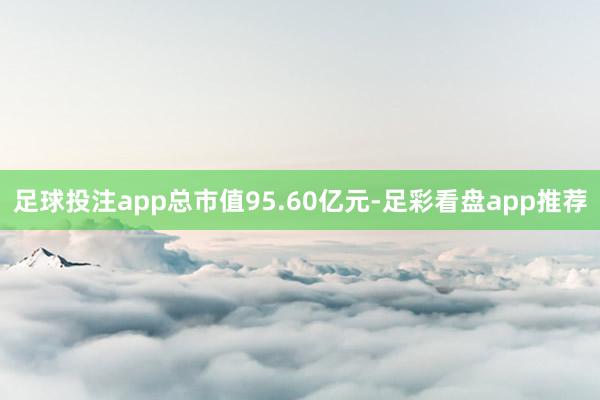 足球投注app总市值95.60亿元-足彩看盘app推荐