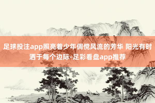 足球投注app照亮着少年倜傥风流的芳华 阳光有时洒于每个边际-足彩看盘app推荐