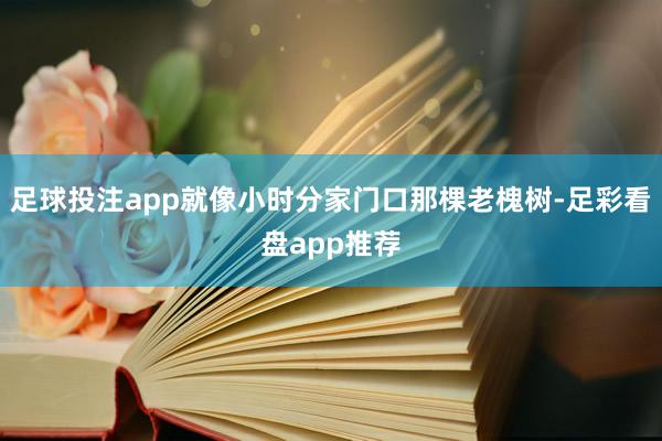 足球投注app就像小时分家门口那棵老槐树-足彩看盘app推荐