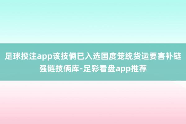 足球投注app该技俩已入选国度笼统货运要害补链强链技俩库-足彩看盘app推荐