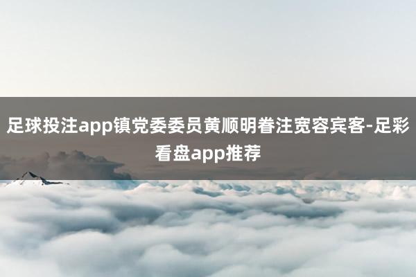 足球投注app镇党委委员黄顺明眷注宽容宾客-足彩看盘app推荐