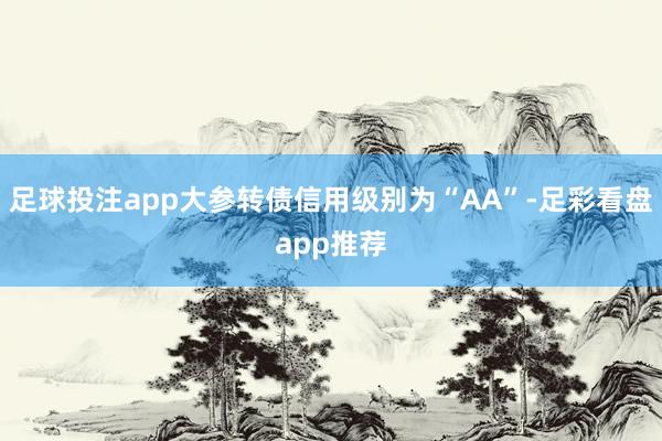 足球投注app大参转债信用级别为“AA”-足彩看盘app推荐
