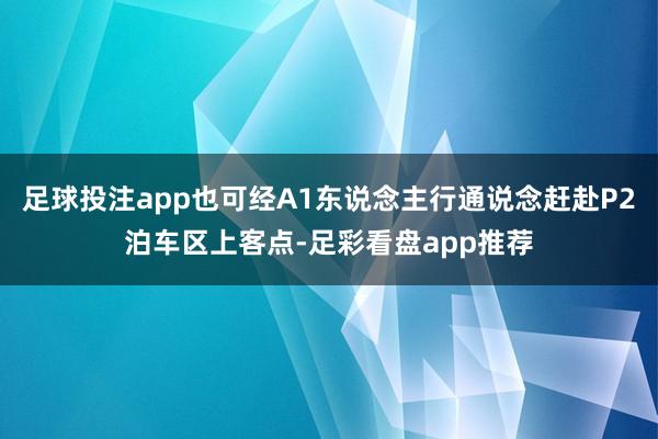 足球投注app也可经A1东说念主行通说念赶赴P2泊车区上客点-足彩看盘app推荐