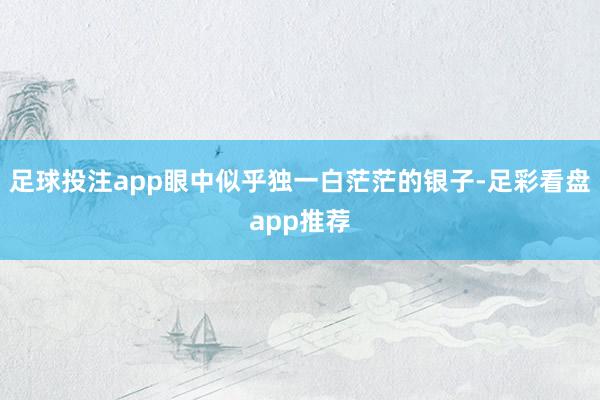 足球投注app眼中似乎独一白茫茫的银子-足彩看盘app推荐