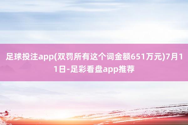 足球投注app(双罚所有这个词金额651万元)7月11日-足彩看盘app推荐