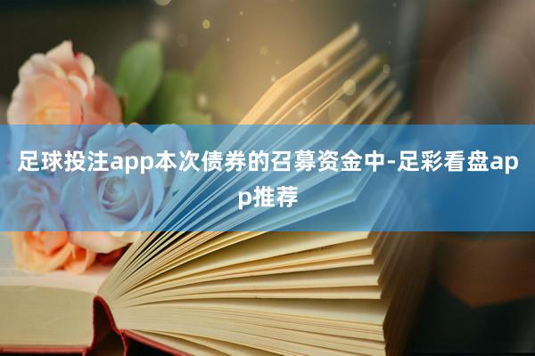 足球投注app本次债券的召募资金中-足彩看盘app推荐