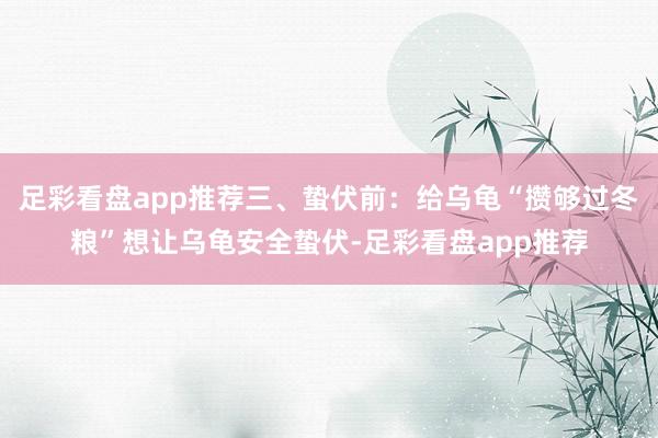 足彩看盘app推荐三、蛰伏前：给乌龟“攒够过冬粮”想让乌龟安全蛰伏-足彩看盘app推荐